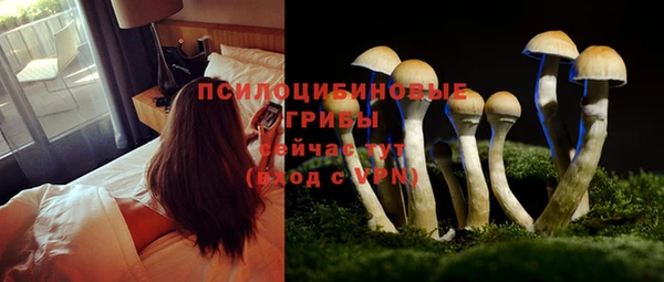бошки Щучье