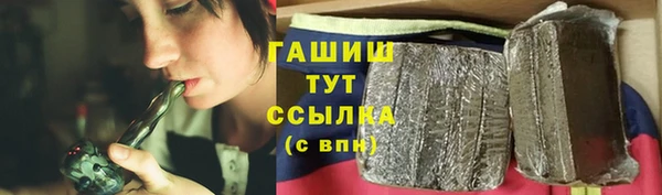 гидра Дмитров