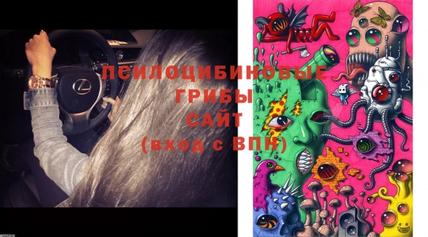 PSILOCYBIN Дмитриев