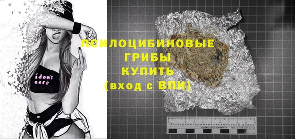 гидра Дмитров