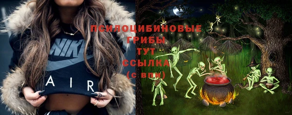 PSILOCYBIN Дмитриев