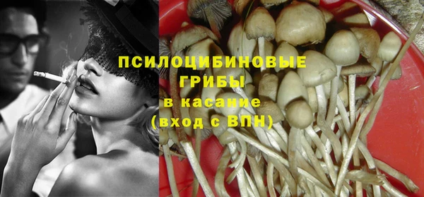 гидра Дмитров