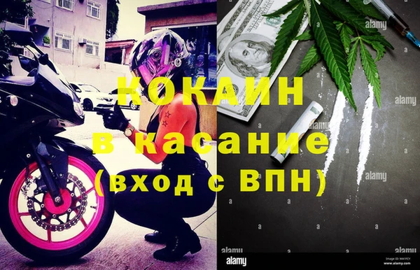 гидра Дмитров