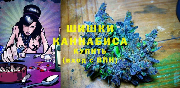 PSILOCYBIN Дмитриев