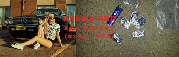 гидра Дмитров
