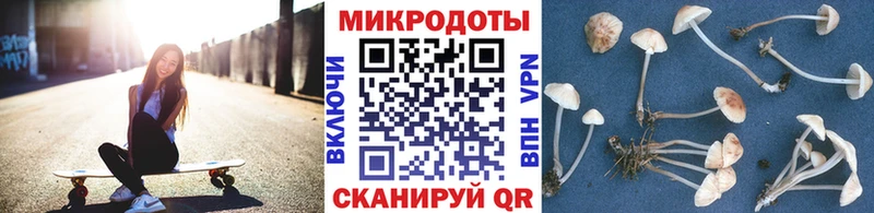 OMG маркетплейс Невьянск Псилоцибиновые грибы мухоморы